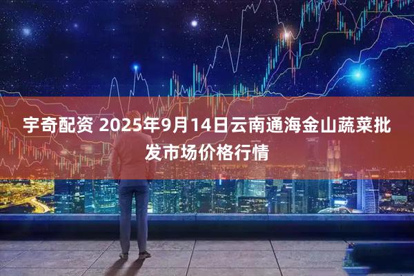宇奇配资 2025年9月14日云南通海金山蔬菜批发市场价格行情