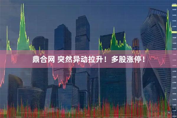 鼎合网 突然异动拉升！多股涨停！