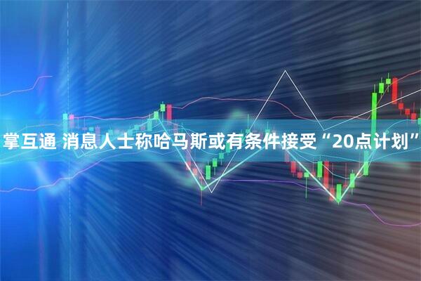 掌互通 消息人士称哈马斯或有条件接受“20点计划”