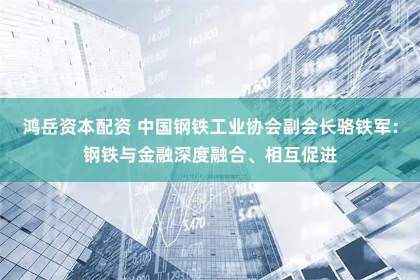 鸿岳资本配资 中国钢铁工业协会副会长骆铁军：钢铁与金融深度融合、相互促进