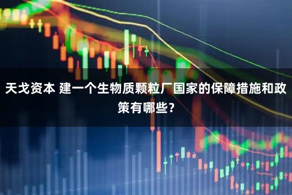 天戈资本 建一个生物质颗粒厂国家的保障措施和政策有哪些？