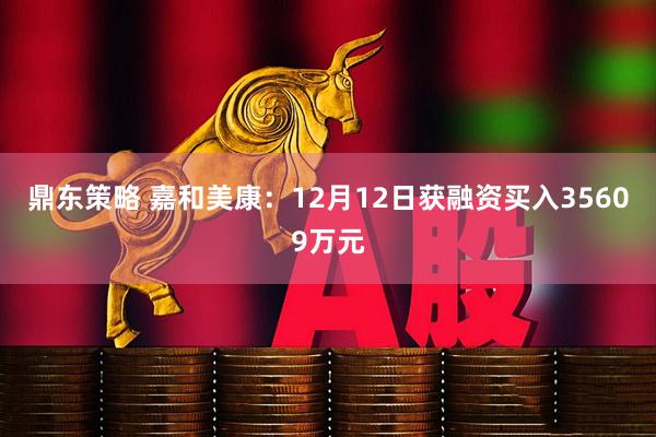 鼎东策略 嘉和美康：12月12日获融资买入35609万元